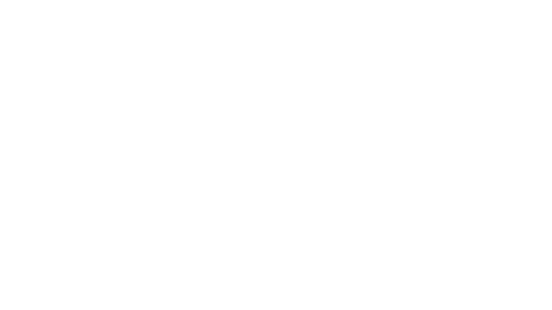 Apollo Insurance Group