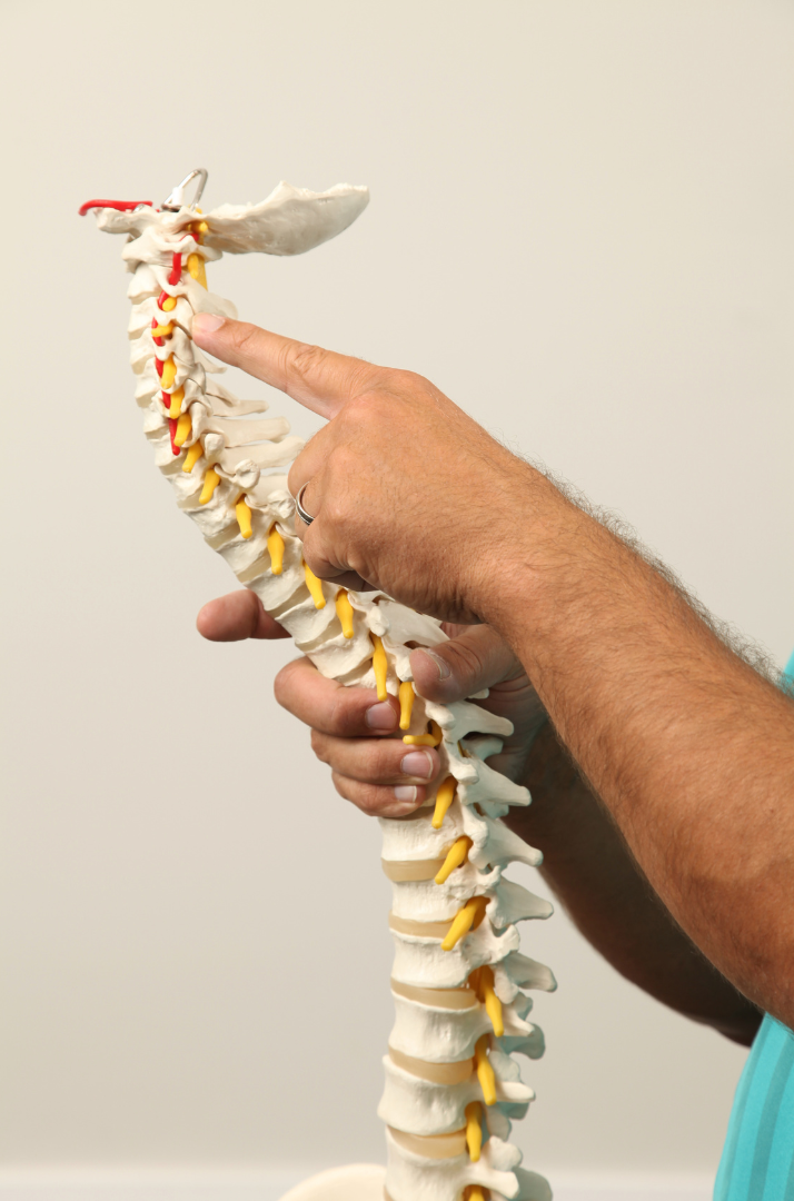 Health Insurance for Chiropractors