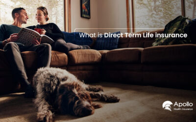 What is Direct Term Life Insurance